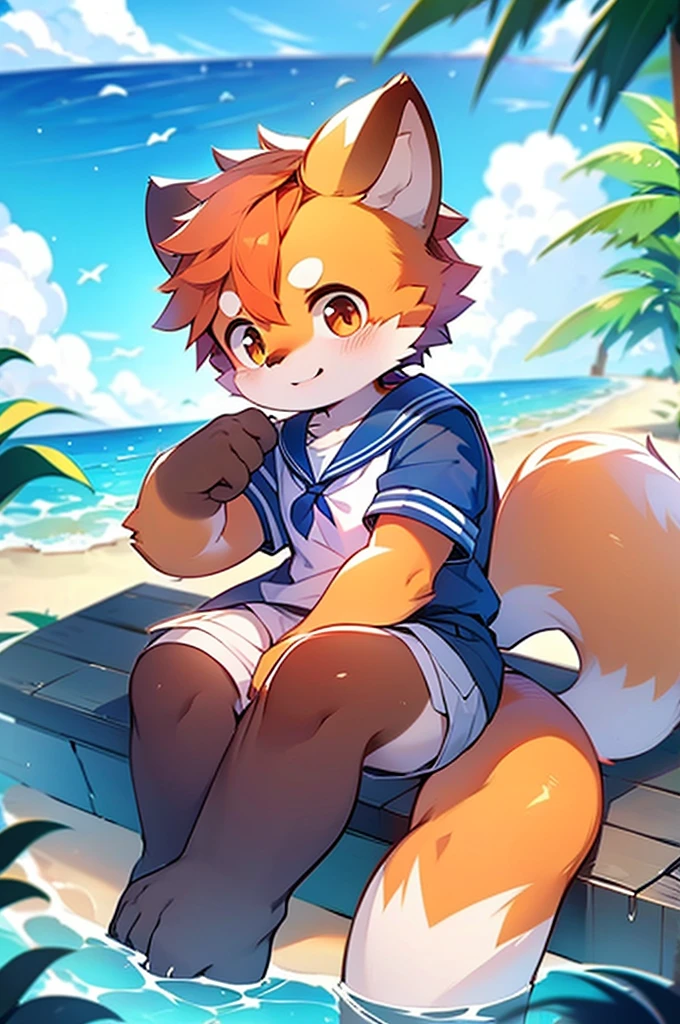 Male Red Panda, Ocean, Appeared wearing a sailor uniform! One in heat, Sitting,