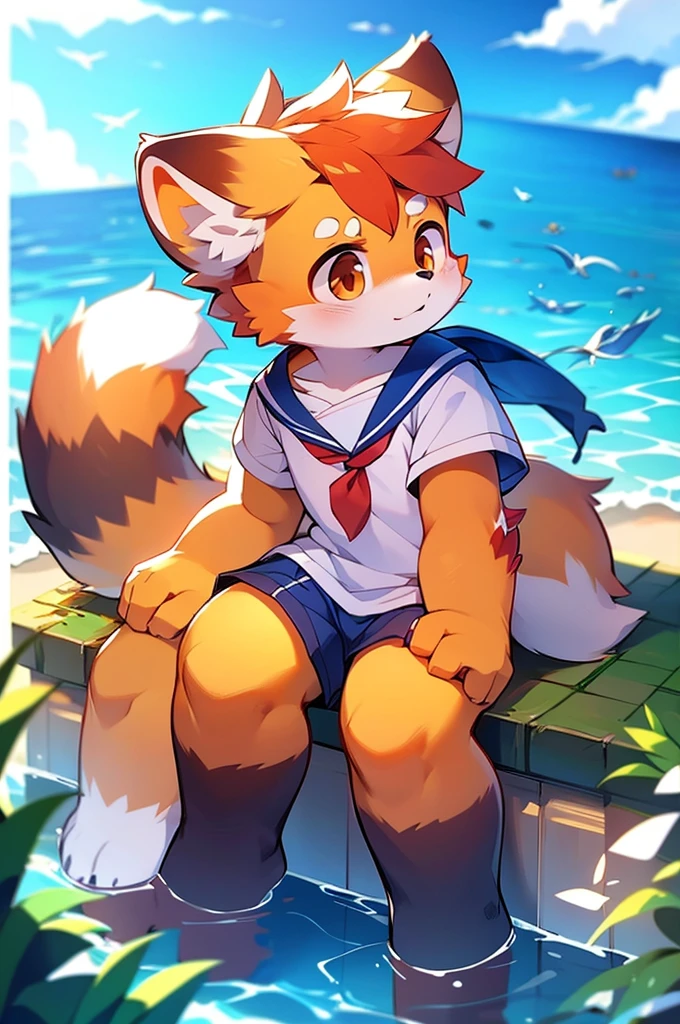 Male Red Panda, Ocean, Appeared wearing a sailor uniform! One in heat, Sitting,