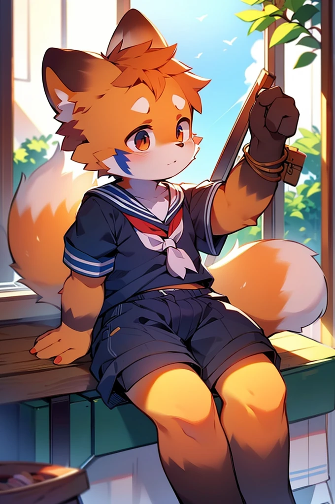 Male Red Panda, Appeared wearing a sailor uniform! One in heat, Sitting,
