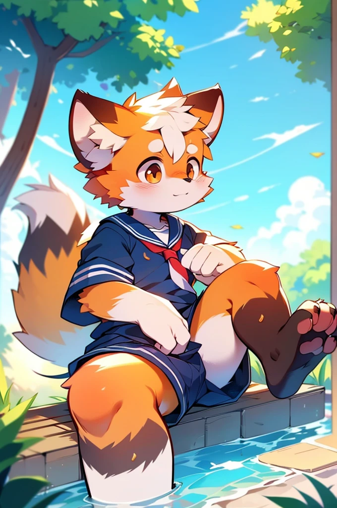 Male Red Panda, Appeared wearing a sailor uniform! One in heat, Sitting,