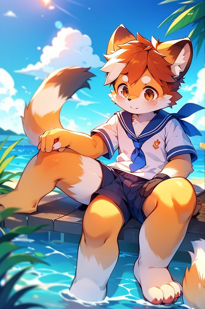 Male Red Panda，Ocean，I'm wearing a sailor suit！One in heat，Sitting