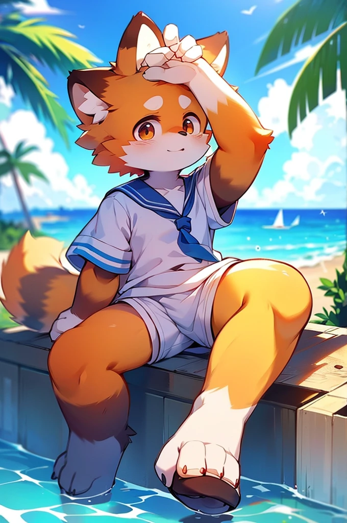 Male Red Panda,Ocean,I'm wearing a sailor suit!One in heat,Sitting