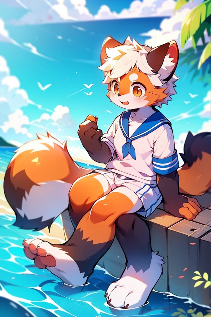 Male Red Panda,Ocean,I'm wearing a sailor suit!One in heat,Sitting