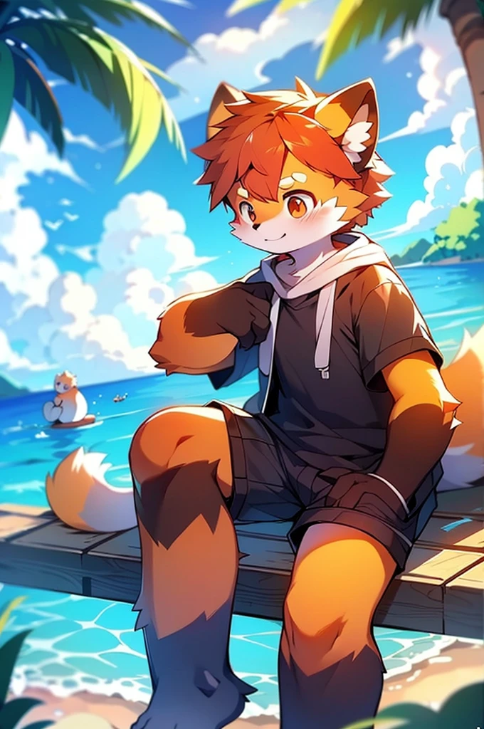Male Red Panda, Ocean, One in heat, Sitting,