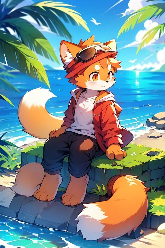 Male Red Panda, Ocean, Cool clothes！One in heat, Sitting,