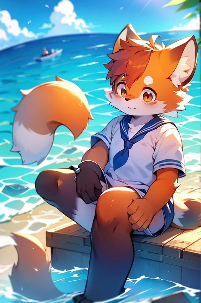Male Red Panda, Ocean, Appeared wearing a sailor uniform! One in heat, Sitting,