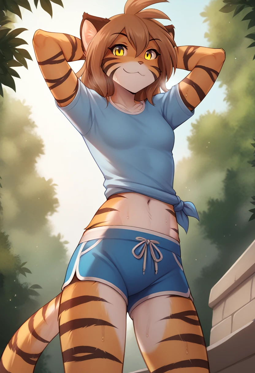 score_9, score_8_up, score_7_up, score_6_up, score_5_up, score_4_up, rating_safe, source_furry, a female anthro fluffy, 1girl, solo, female, furry, anthro, fluffy tail, small breasts, tiger, striped fur, yellow eyes, anthro, confused smile, light (blush:1.05), (sweat, sweaty, steam:1.2), (bottom view:1.1), park background, flora-twokinds, standing, looking at viewer, (shy:1.2),  hands behind head, personalamistyle, (blue shorts, blue shirt:1.15), after workout, (bottle of water on waist:1.2)