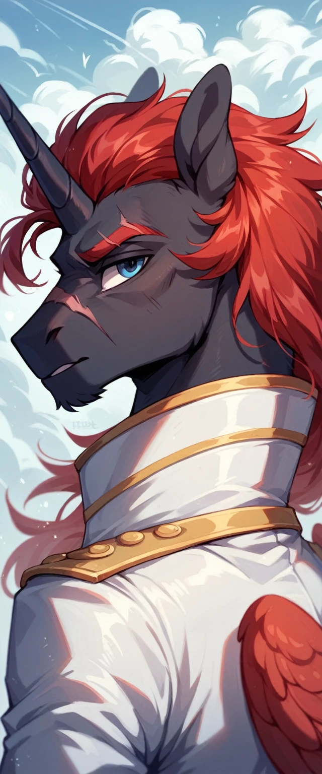 Male alicorn pony, sfw, black fur, dark blue eyes, red stripes, long flowing red hair and tail, scar over left eye, red feathers on wings, thunderstorm butt mark, standing proud, white navy admirals uniform, facing viewer, close-up portrait