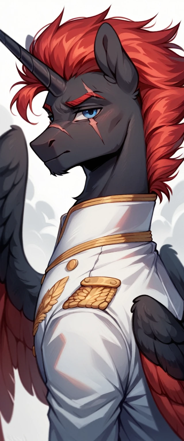 Male alicorn pony, sfw, black fur, dark blue eyes, red stripes, long flowing red hair and tail, scar over left eye, red feathers on wings, thunderstorm butt mark, standing proud, white navy admirals uniform, facing viewer, close-up portrait
