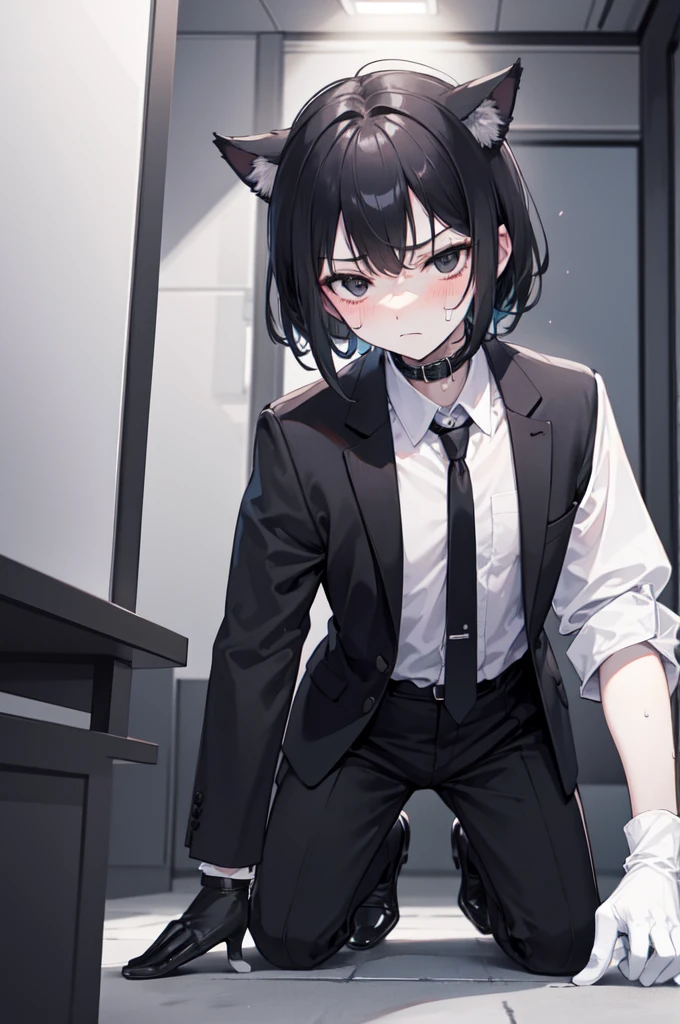 A 18-year-old boy, white and tender skin, cute, wearing white short-sleeved shirt, black jacket and black work tie, black trousers, black booties, white gloves, collar, black hair,wear cat ears, black eyes, thin waist, thin legs, handsome, disdainful and indifferent expression, shy, blush a lot, afraid, sweating, tired, pornography, Pornographic action，kneel down