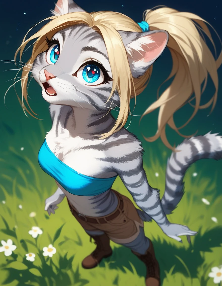 Solo, score_9,score_8_up,score_7_up, source_furry, kat, Anthro furry feline, big blue sparkling eyes, blonde hair, (ponytail hair), pink nose, :3, white whiskers, silver fur with grey stripes, furry body, wearing blue bandeau, brown short shorts, brown boots, standing, from above, amazed expression, looking up at the sky, on a grassy field, night time, mouth open, :o, curious expression, standing in a neutral position