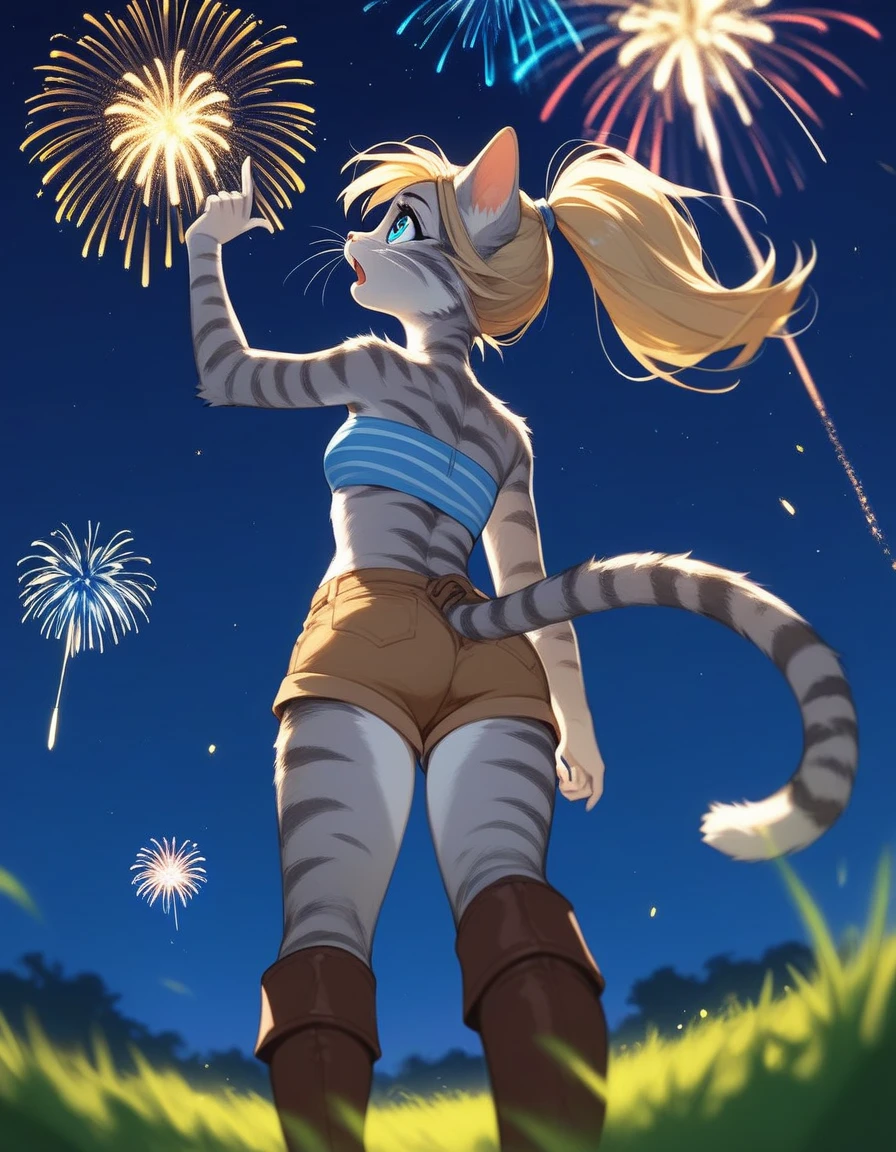 Solo, score_9,score_8_up,score_7_up, source_furry, kat, Anthro furry feline, big blue sparkling eyes, blonde hair, (ponytail hair), pink nose, :3, white whiskers, silver fur with grey stripes, furry body, wearing solid blue bandeau, brown short shorts, brown boots, neutral standing position, standing, curious expression, looking up at the sky, on a grassy field, mouth open, :o, rear view, low angle shot, many fireworks in the night sky, night time