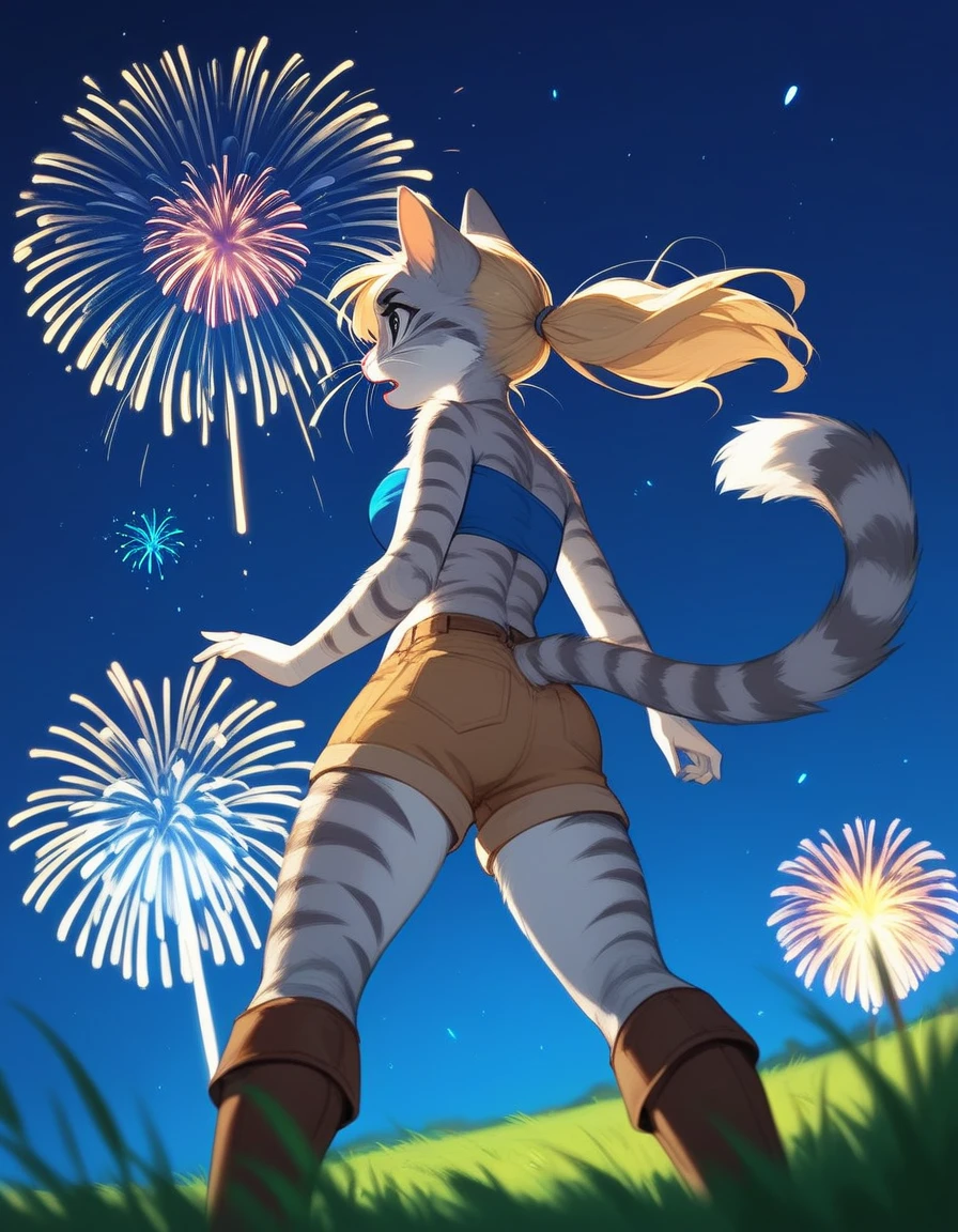 Solo, score_9,score_8_up,score_7_up, source_furry, kat, Anthro furry feline, big blue sparkling eyes, blonde hair, (ponytail hair), pink nose, :3, white whiskers, silver fur with grey stripes, furry body, wearing solid blue bandeau, brown short shorts, brown boots, neutral standing position, standing, curious expression, looking up at the sky, on a grassy field, mouth open, :o, rear view, low angle shot, many fireworks in the night sky, night time