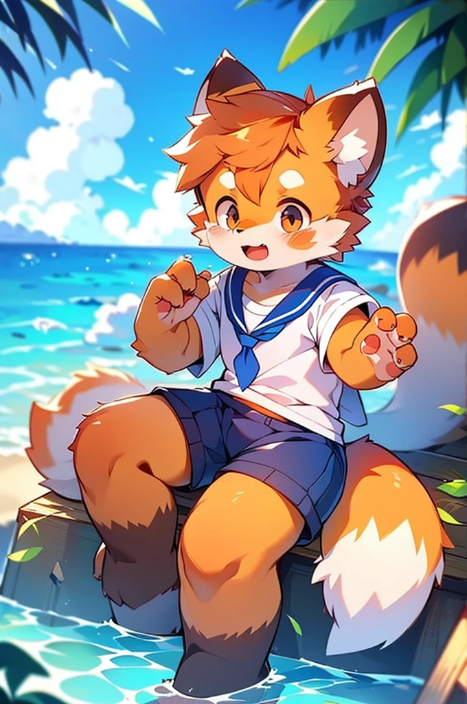 Male Red Panda, Ocean, Appeared wearing a sailor uniform! One in heat, Sitting,