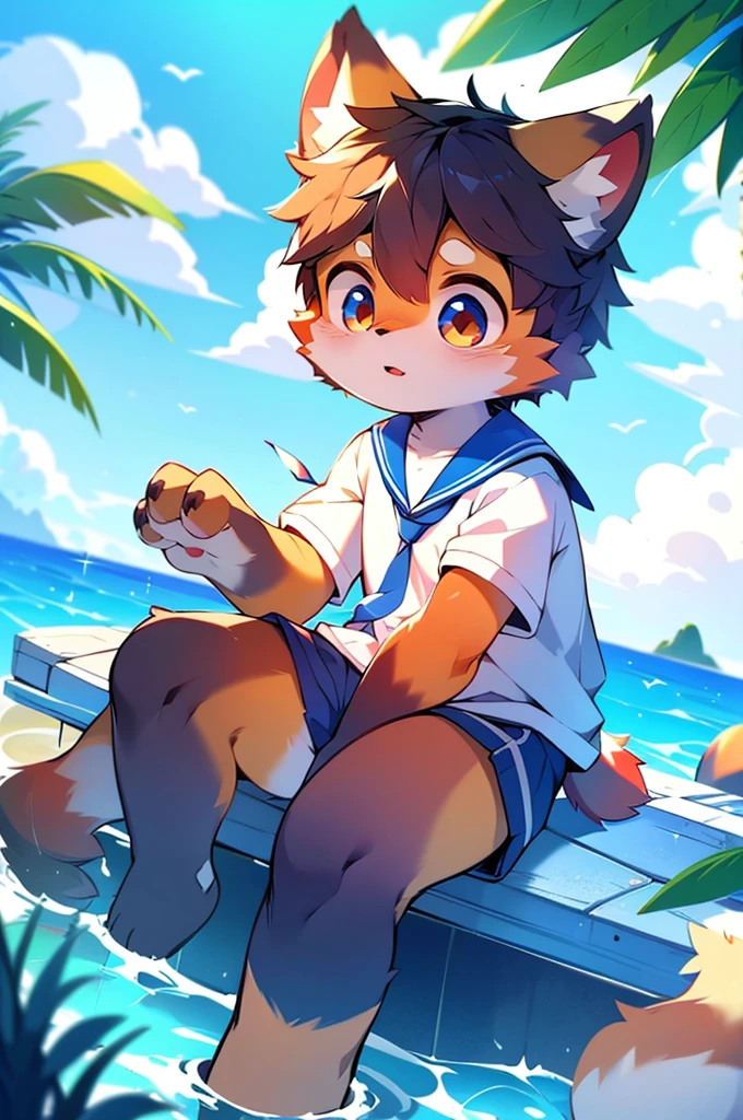 Male Red Panda, Ocean, Appeared wearing a sailor uniform! One in heat, Sitting,fly in the sky,Blue light