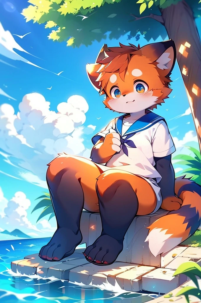 Male Red Panda, Ocean, Appeared wearing a sailor uniform! One in heat, Sitting,fly in the sky，Blue light