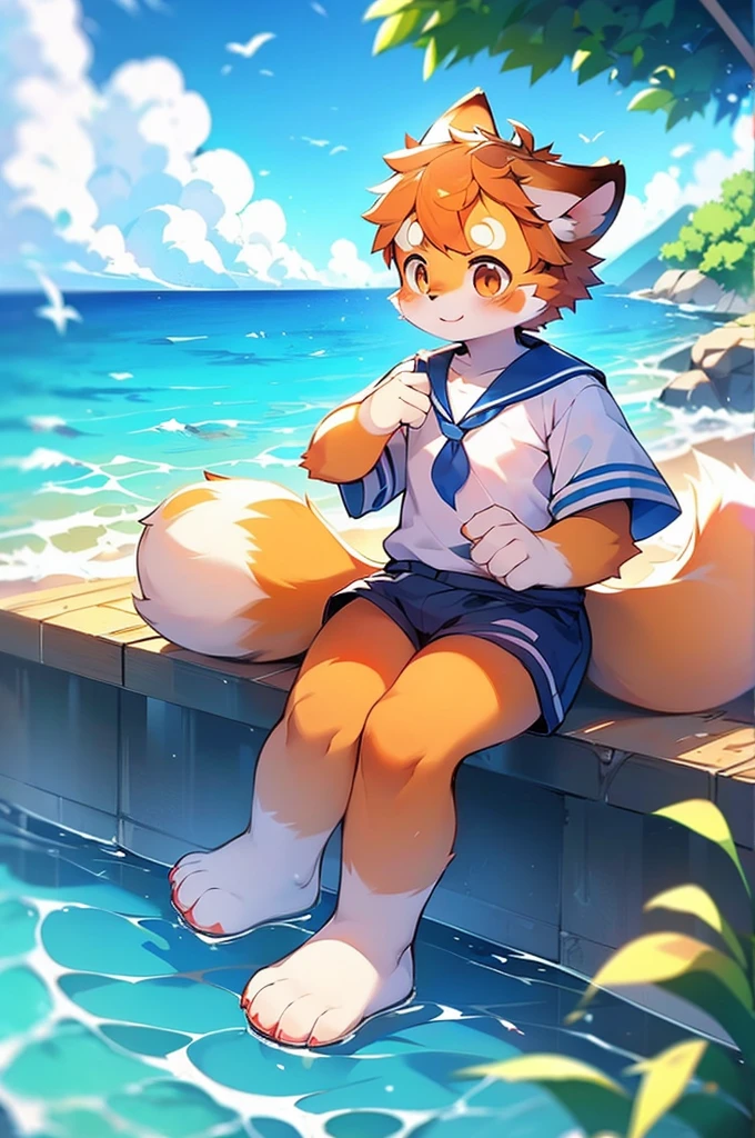 Male Red Panda, Ocean, Appeared wearing a sailor uniform! One in heat, Sitting,空を飛ぶ,青い光