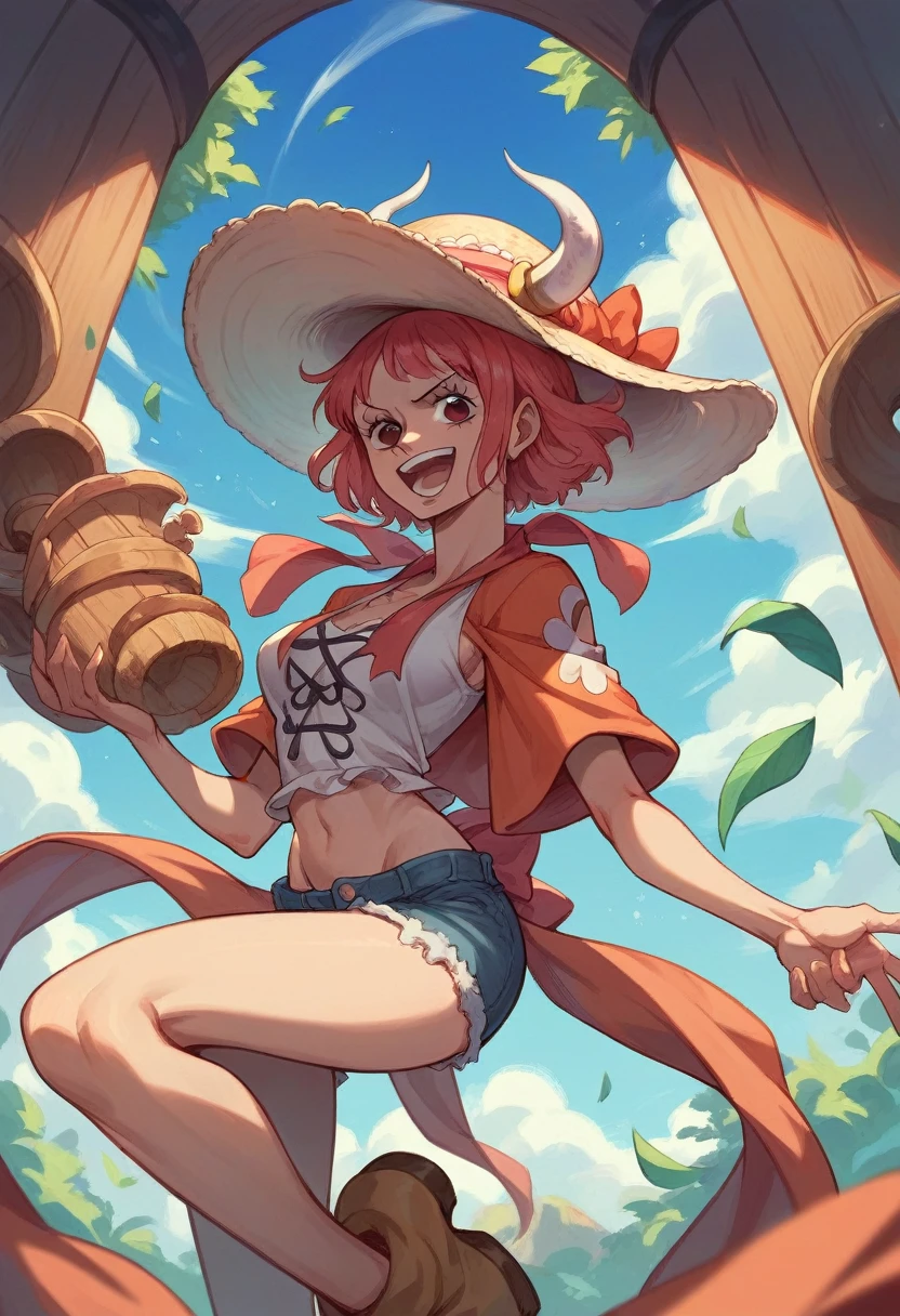 One Piece anime