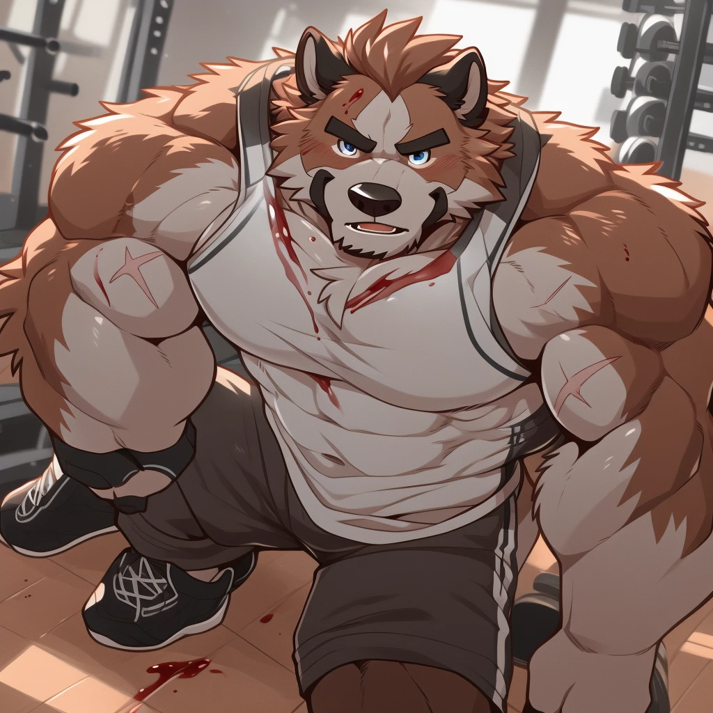 Author: Takemoto Arashi, (1 boy), One, Saint Bernard, Men's Second, kemono, hot body, muscle, Beautiful, sexual, Attractive guy, (Detailed eyes), brows, (masterpiece, A high resolution, Best quality), 4K, a male, portrait, Beautiful shadow, pecs focus, Gym uniform, Gym, chained, black gym tankyop, gym shorts and shoes, scars, blood,