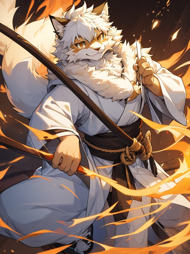 white colored fur Tabaxi mein coon, man, who is very fluffy, with a long whip, wearing long japenese styled robes