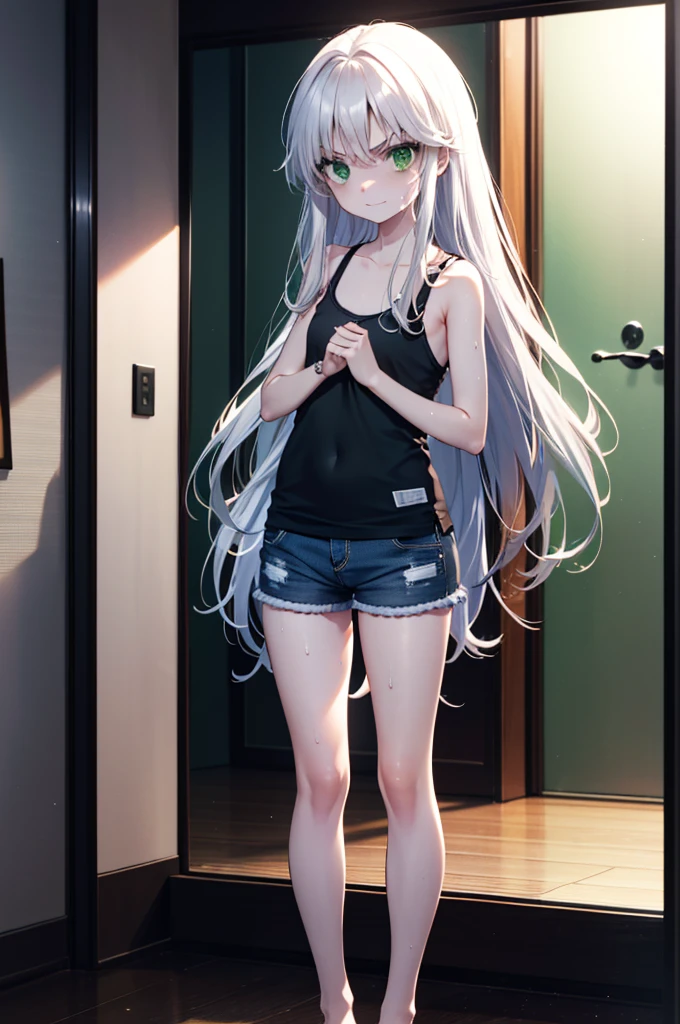 index, index, (Green Eyes:1.5), Silver Hair, Long Hair, (Flat Chest:1.2),smile,Angry,Sweat,Transparent white,Tank top,Shorts,barefoot,barefoot,Place your hands on your hips,Standing with your legs apart,
break looking at viewer, whole body,
break indoors, Home,entrance,
break (masterpiece:1.2), Highest quality, High resolution, unity 8k wallpaper, (figure:0.8), (Beautiful attention to detail:1.6), Highly detailed face, Perfect lighting, Highly detailed CG, (Perfect hands, Perfect Anatomy),