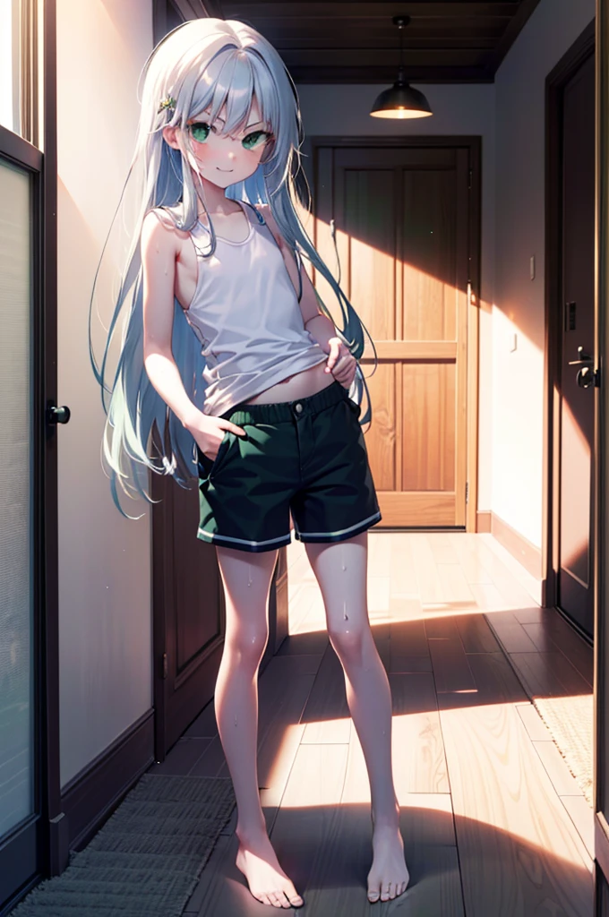 index, index, (Green Eyes:1.5), Silver Hair, Long Hair, (Flat Chest:1.2),smile,Angry,Sweat,Transparent white,Tank top,Shorts,barefoot,barefoot,Place your hands on your hips,Standing with your legs apart,
break looking at viewer, whole body,
break indoors, Home,entrance,
break (masterpiece:1.2), Highest quality, High resolution, unity 8k wallpaper, (figure:0.8), (Beautiful attention to detail:1.6), Highly detailed face, Perfect lighting, Highly detailed CG, (Perfect hands, Perfect Anatomy),