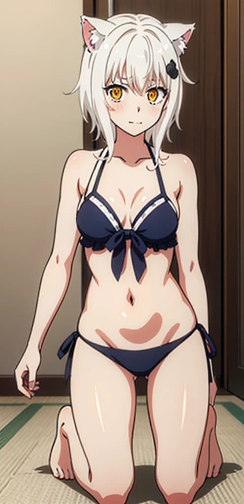 best quality, (masterpiece:1.2), highly detailed, cat ears, 1girl, tojou koneko, closed mouth, slight smile, yellow eyes, white hair, short hair, hair ornament, 20-year-old, healthy skin, blushed,kneeling ,(ringed eyes, midriff ), bikini