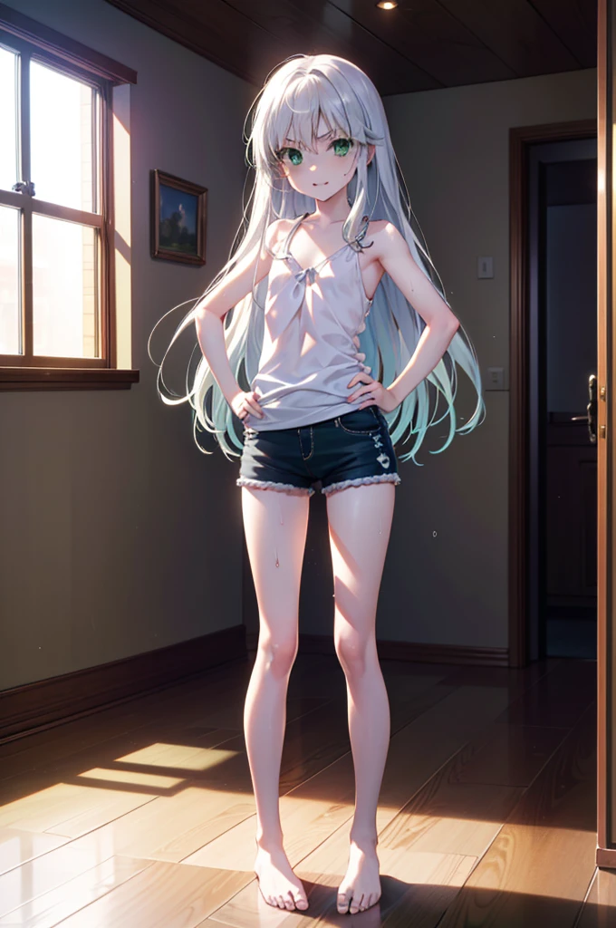 index, index, (Green Eyes:1.5), Silver Hair, Long Hair, (Flat Chest:1.2),smile,Angry,Sweat,Transparent white,Tank top,Shorts,barefoot,barefoot,Place your hands on your hips,Standing with your legs apart,
break looking at viewer, whole body,
break indoors, Home,entrance,
break (masterpiece:1.2), Highest quality, High resolution, unity 8k wallpaper, (figure:0.8), (Beautiful attention to detail:1.6), Highly detailed face, Perfect lighting, Highly detailed CG, (Perfect hands, Perfect Anatomy),