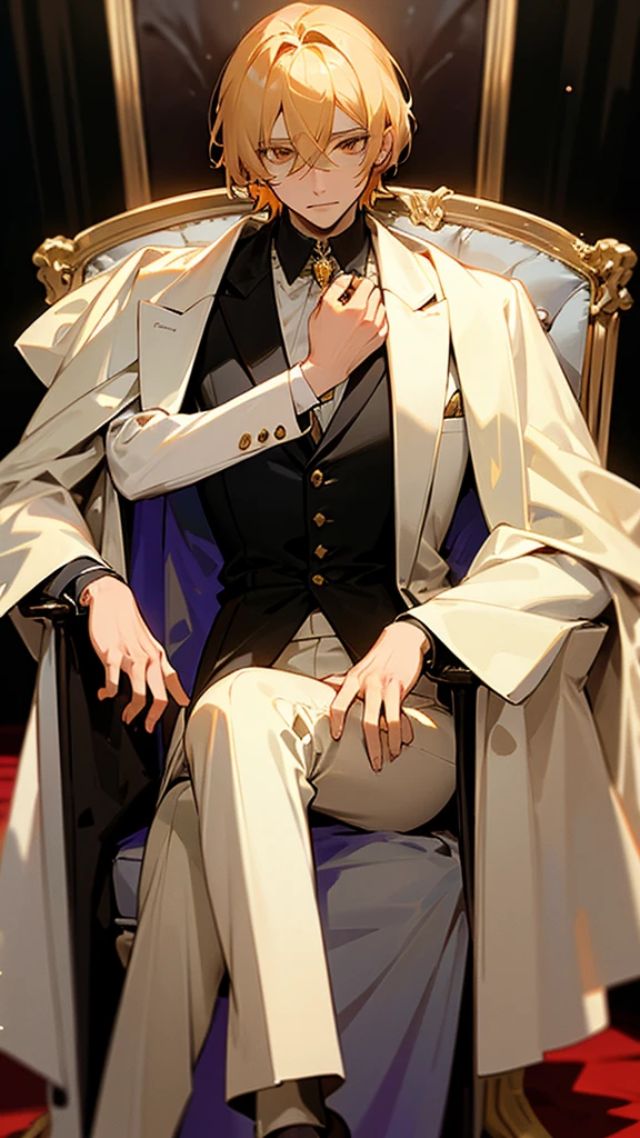 With short golden hair,The hair is on the back,Eyes jewel colored,There is still hatred in his eyes,Wearing a white suit is very elegant,The boy sitting on the throne, covered in blood and full of hatred