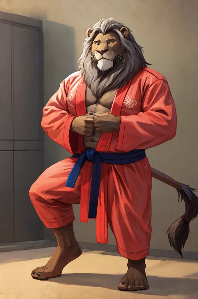 An old lion, 60 years old, dark brown fur, gray mane, wearing a jiu jitsu kimono.