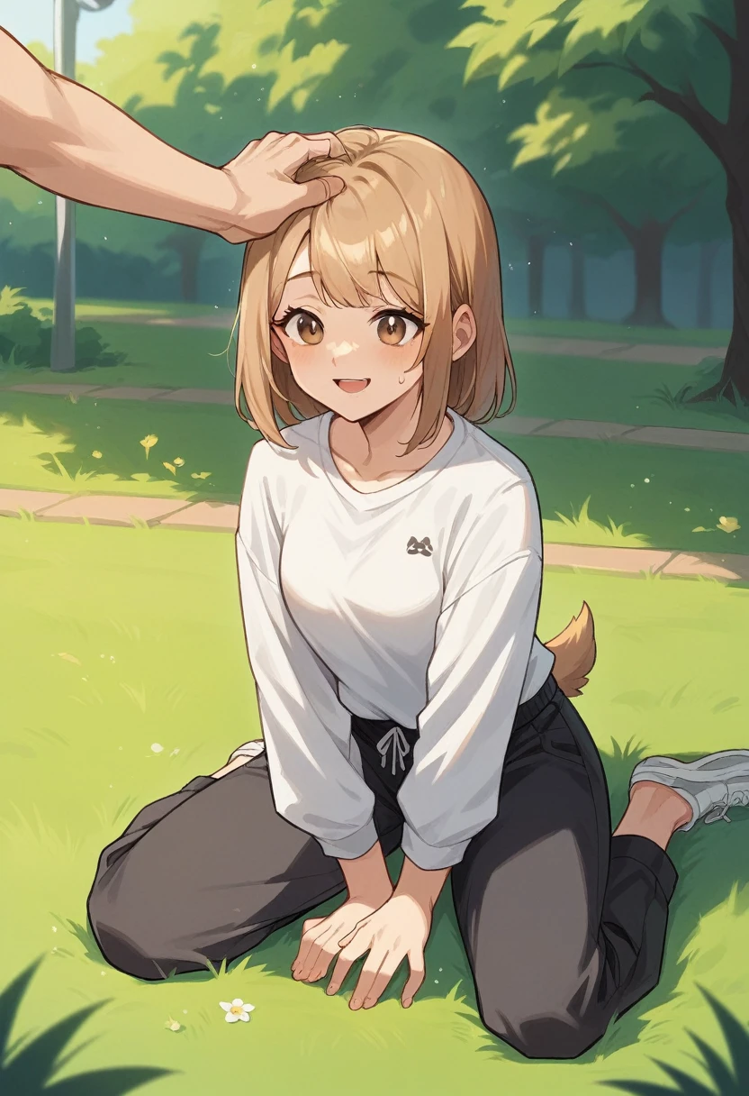 drawing of a girl with long brown hair, light brown eyes, with a smiling expression on her face, wearing a white shirt and a black sweatpants, sitting on the grass floor in her legs, she has an orange cat and the girl He is petting a medium-sized white dog with an orange spot on his face, in a park background