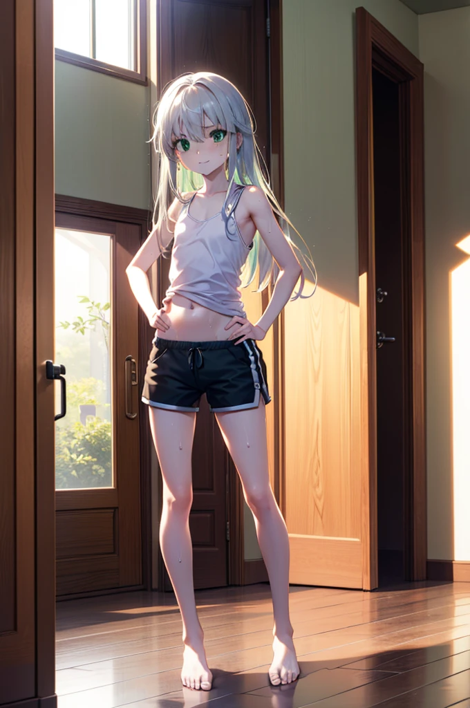 index, index, (Green Eyes:1.5), Silver Hair, Long Hair, (Flat Chest:1.2),smile,Angry,Sweat,Transparent white,Tank top,Belly button,Shorts,barefoot,barefoot,Place your hands on your hips,Standing with your legs apart,
break looking at viewer, whole body,
break indoors, Home,entrance,
break (masterpiece:1.2), Highest quality, High resolution, unity 8k wallpaper, (figure:0.8), (Beautiful attention to detail:1.6), Highly detailed face, Perfect lighting, Highly detailed CG, (Perfect hands, Perfect Anatomy),