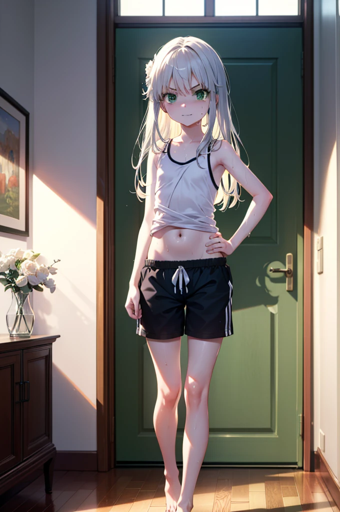 index, index, (Green Eyes:1.5), Silver Hair, Long Hair, (Flat Chest:1.2),smile,Angry,Sweat,Transparent white,Tank top,Belly button,Shorts,barefoot,barefoot,Place your hands on your hips,Standing with your legs apart,
break looking at viewer, whole body,
break indoors, Home,entrance,
break (masterpiece:1.2), Highest quality, High resolution, unity 8k wallpaper, (figure:0.8), (Beautiful attention to detail:1.6), Highly detailed face, Perfect lighting, Highly detailed CG, (Perfect hands, Perfect Anatomy),