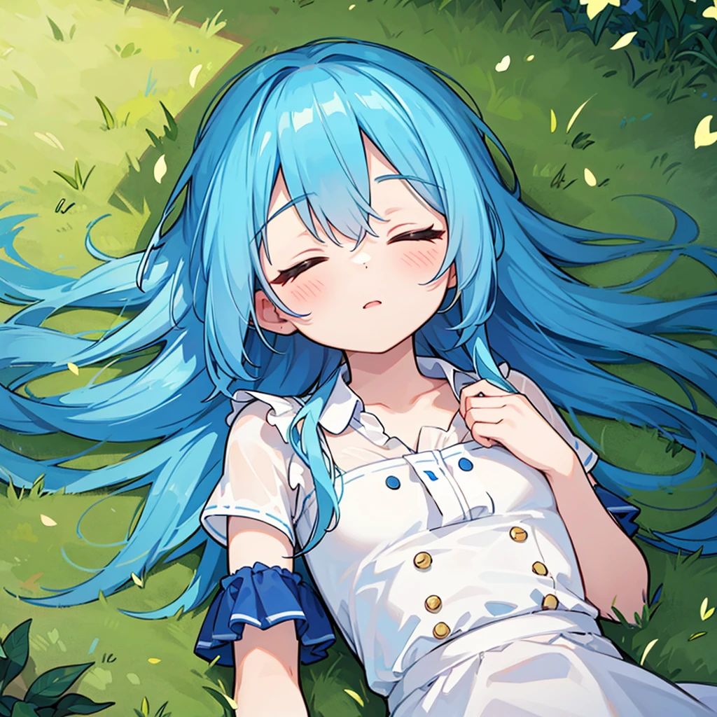 Blue Hair,1.3M,Girl,Close her eyes,Lying flat in the grass