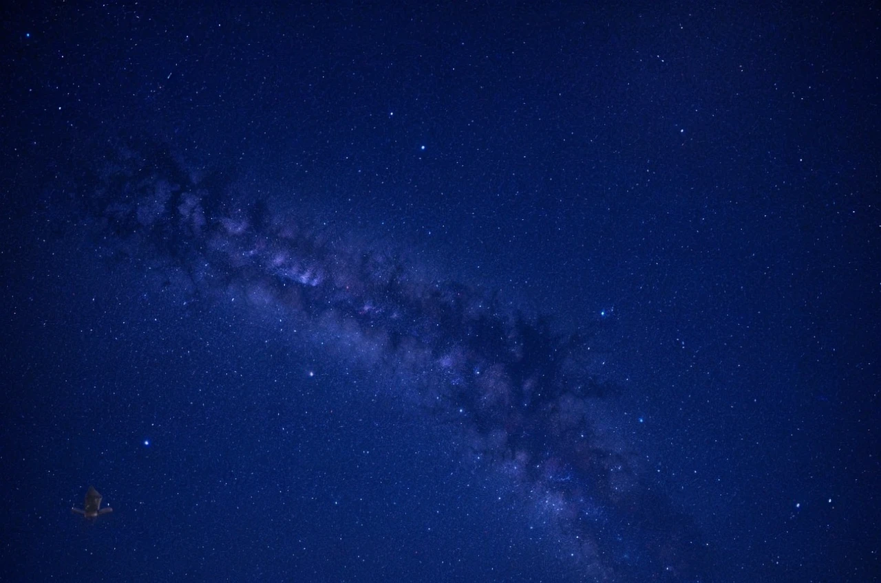 Big Milkyway white