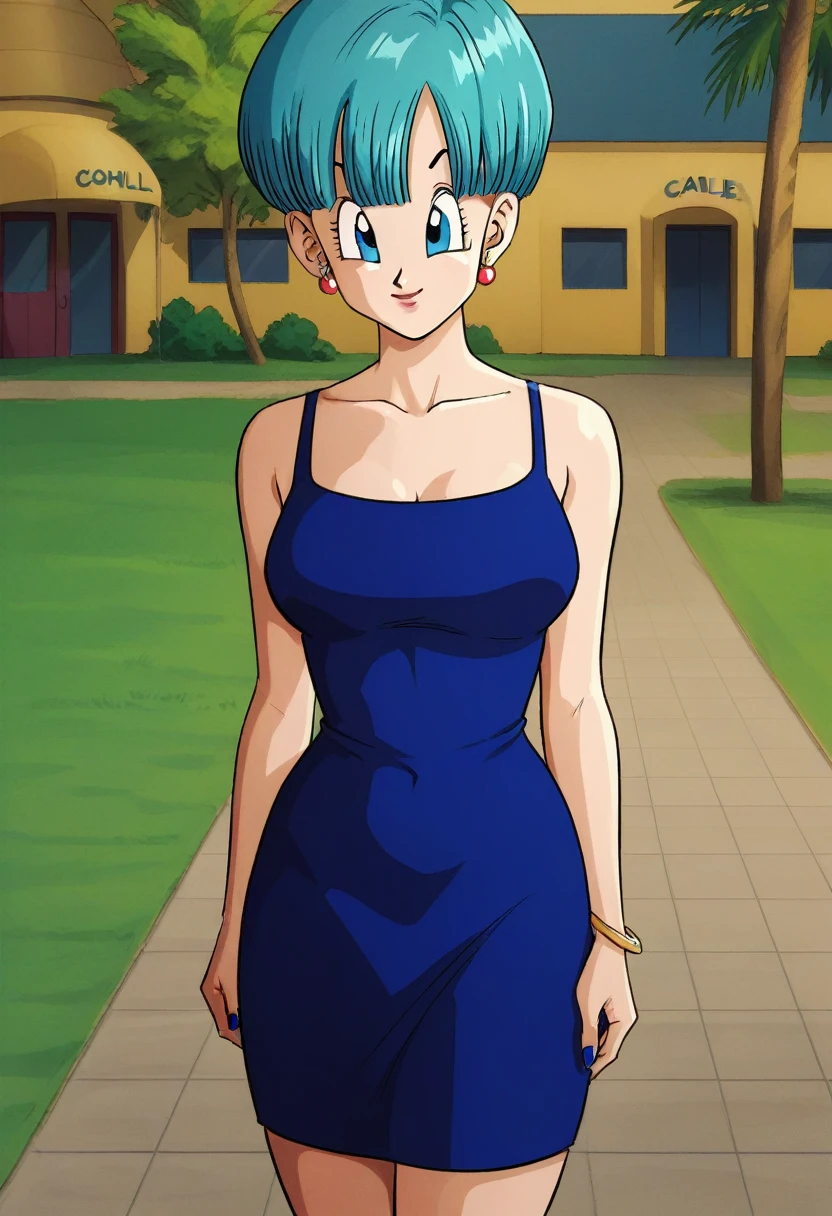 Bulma dark blue dress 