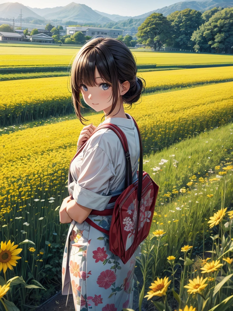 summer, Japan, field