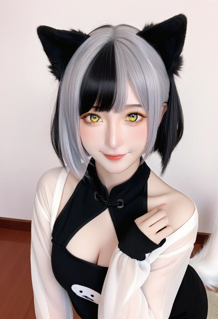 One girl, 
score_9, score_8_superior, score_7_superior, alone, See-through, Animal ears, Black Hair, Yellow Eyes, tail, short hair, :3, Grey Hair, Alternative costume, dog tail, Heterochromia iridis, Dog Girl, Dog Ears, Multicolored Hair, Two-tone hair, blush, smile, Chinese Text, Extra ears, blue eyes