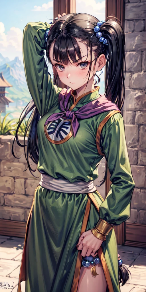 masterpiece, best quality, 4k, 8k, fighter (dq3), 1girl, solo, long hair, twintails, looking at viewer, black hair, hair ornament, long sleeves, dress, medium breasts, closed mouth, cowboy shot, black eyes, arm up, chinese clothes, hair bobbles, clenched hand, fighting stance, Ancient Castle, indoor