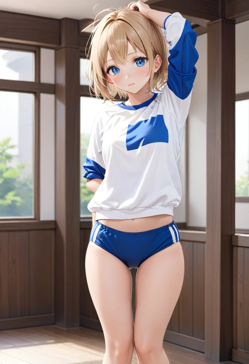 masterpiece, high quality, Nothing, Small breasts, One Girl, Are standing, Temporarily stop, Temporarily stop, Gym suit, Bloomersショーツ, Bloomers, whole body, shirt, blue eyes