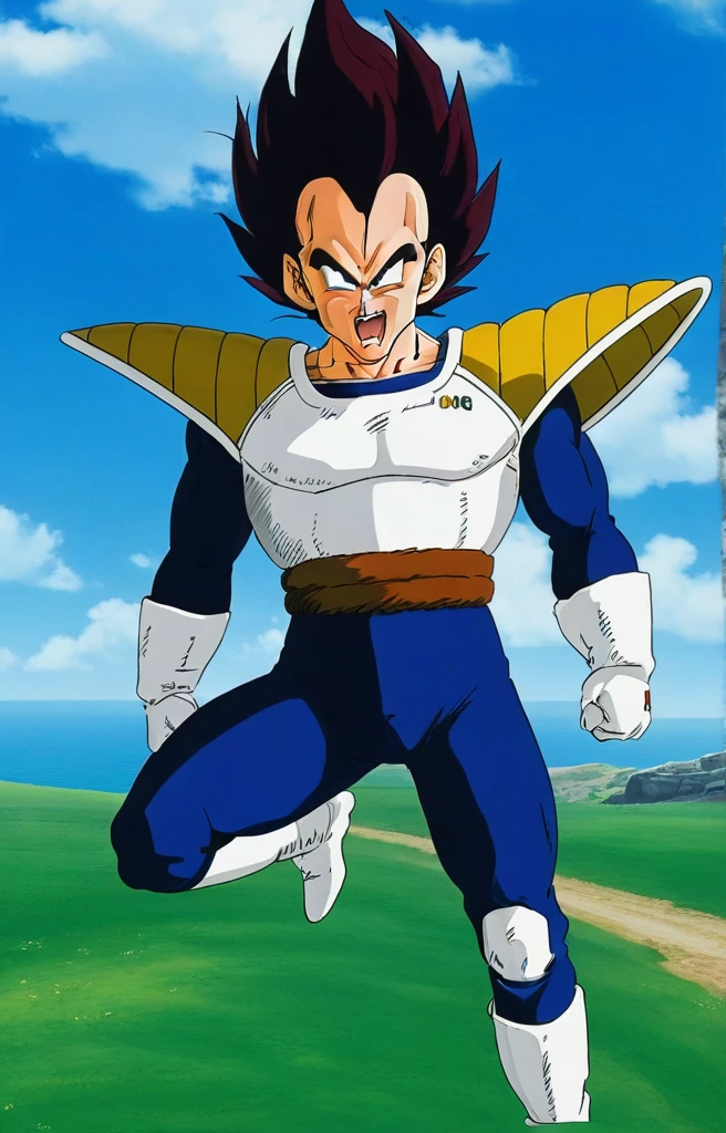 score_9, score_8_up, score_7_up, source_anime, anime screencap, BREAK, vegeta, solo, open mouth, black hair, gloves, 1boy, tail, male focus, outdoors, sky, teeth, day, cloud, white gloves, armor, blue sky, grass, spiked hair, saiyan armor, blue bodysuit, angry, shouting, monkey tail, plate shielding, tail belt, v-shaped eyebrows, full body, charging aura, ki, power up, (speed line, rage, motion line, motion blur), RageModeV4XL