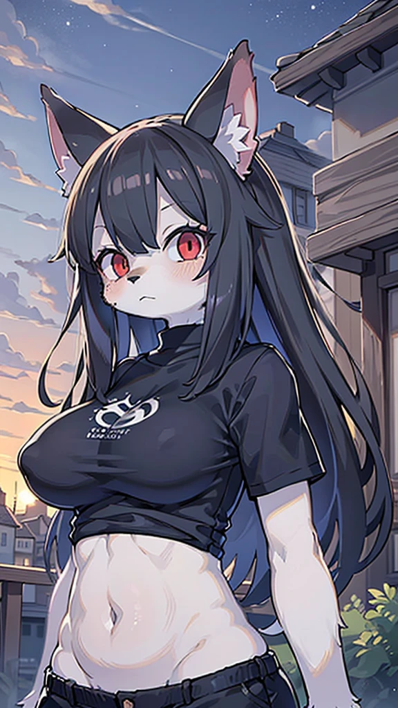 (masterpiece, Highest quality), Intricate details, 8K, Wolf Girl, whole body, (1 person), Red eyes, Big Breasts, Slim figure, furry, Long Hair, anime, expensive, Black Hair, Black T-shirt, Black shorts, Town, 10th Generation, The wind is blowing, Hair is flowing, Expressionless, Upper Body, noon, stomach