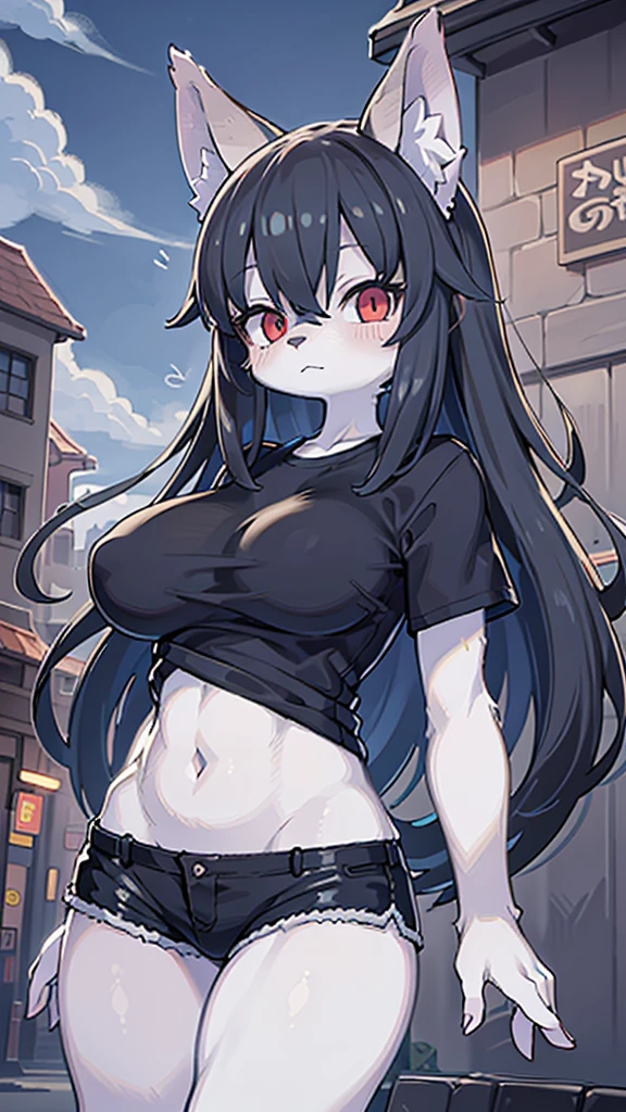 (masterpiece, Highest quality), Intricate details, 8K, Wolf Girl, whole body, (1 person), Red eyes, Big Breasts, Slim figure, furry, Long Hair, anime, expensive, Black Hair, Black T-shirt, Black shorts, Town, 10th Generation, The wind is blowing, Hair is flowing, Expressionless, Upper Body, noon, stomach