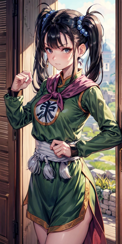 masterpiece, best quality, 4k, 8k, fighter (dq3), 1girl, solo, long hair, twintails, looking at viewer, black hair, hair ornament, long sleeves, dress, medium breasts, closed mouth, cowboy shot, black eyes, chinese clothes, hair bobbles, clenched hand, fighting pose, Ancient Castle, indoor