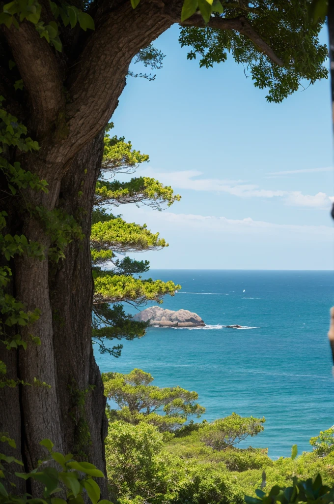 A spectacular view of the coast in midsummer