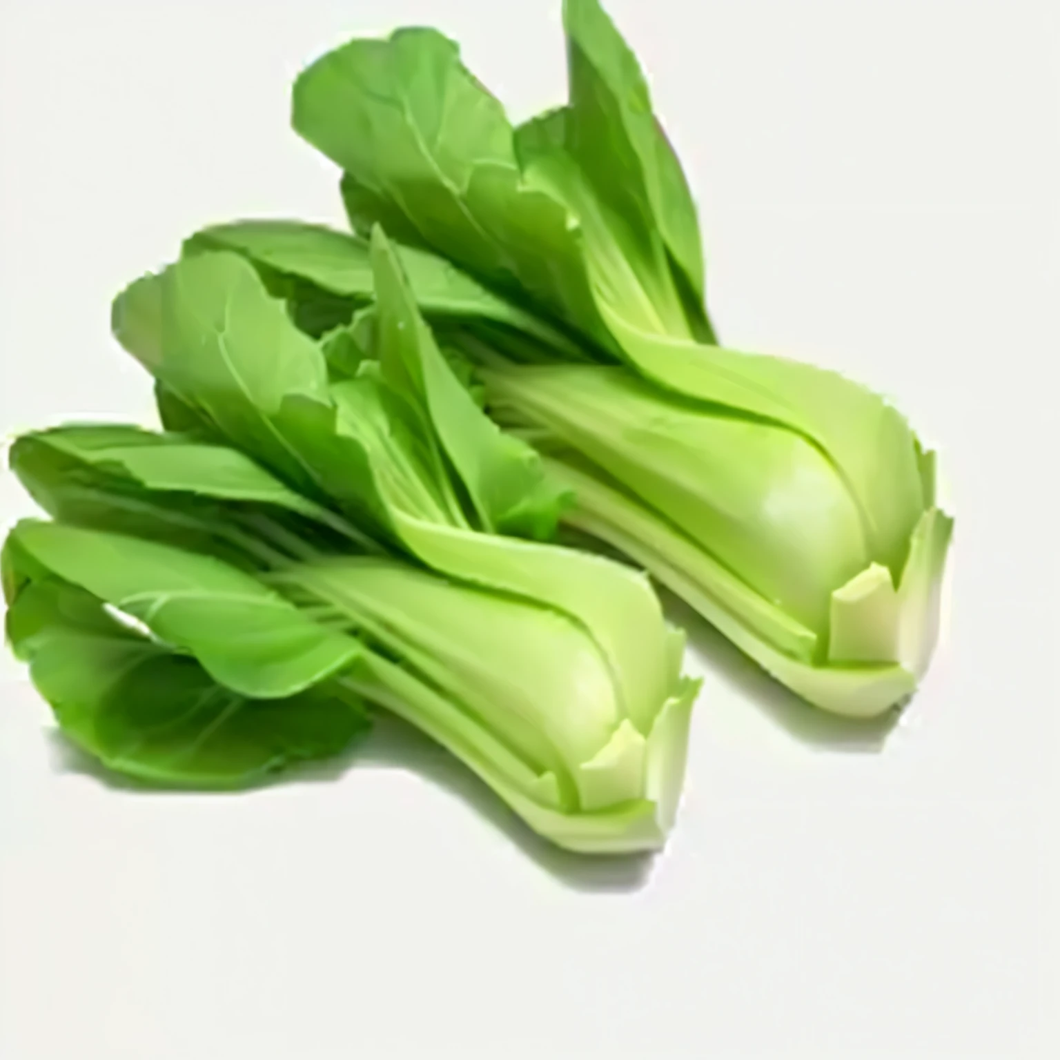 a close up of a bunch of green vegetables on a white surface, greens), vegetable, lettuce, Cui, ramps, vegetable foliage, Fresh, vegetables, 灵感来自Cui布, green, vegetable, Nostalgia, longque chen, tilt, gongbi, loose, wet, Wang Chen, Inspired by Li Di, herb, bian lian