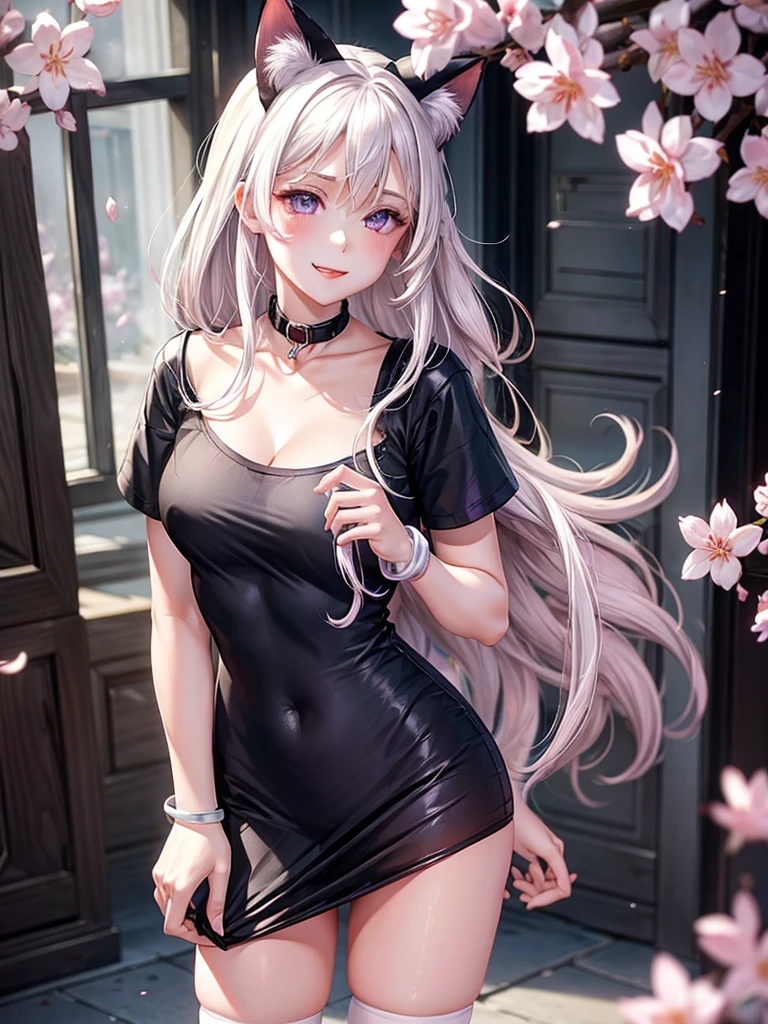 1 woman,beautiful white hair,beautiful purple eyes,Light pink blush,Light Red Lipstick,Facing the camera,Wearing a black T-shirt.,shorts,white skin,Put on a collar,White cat ears,smile a little,Standing in the bedroom in the morning,Put on a bracelet,(8K images),(Light and 4K),Outside the window there are cherry blossoms.,no cat,Wear black stockings,big breasts,