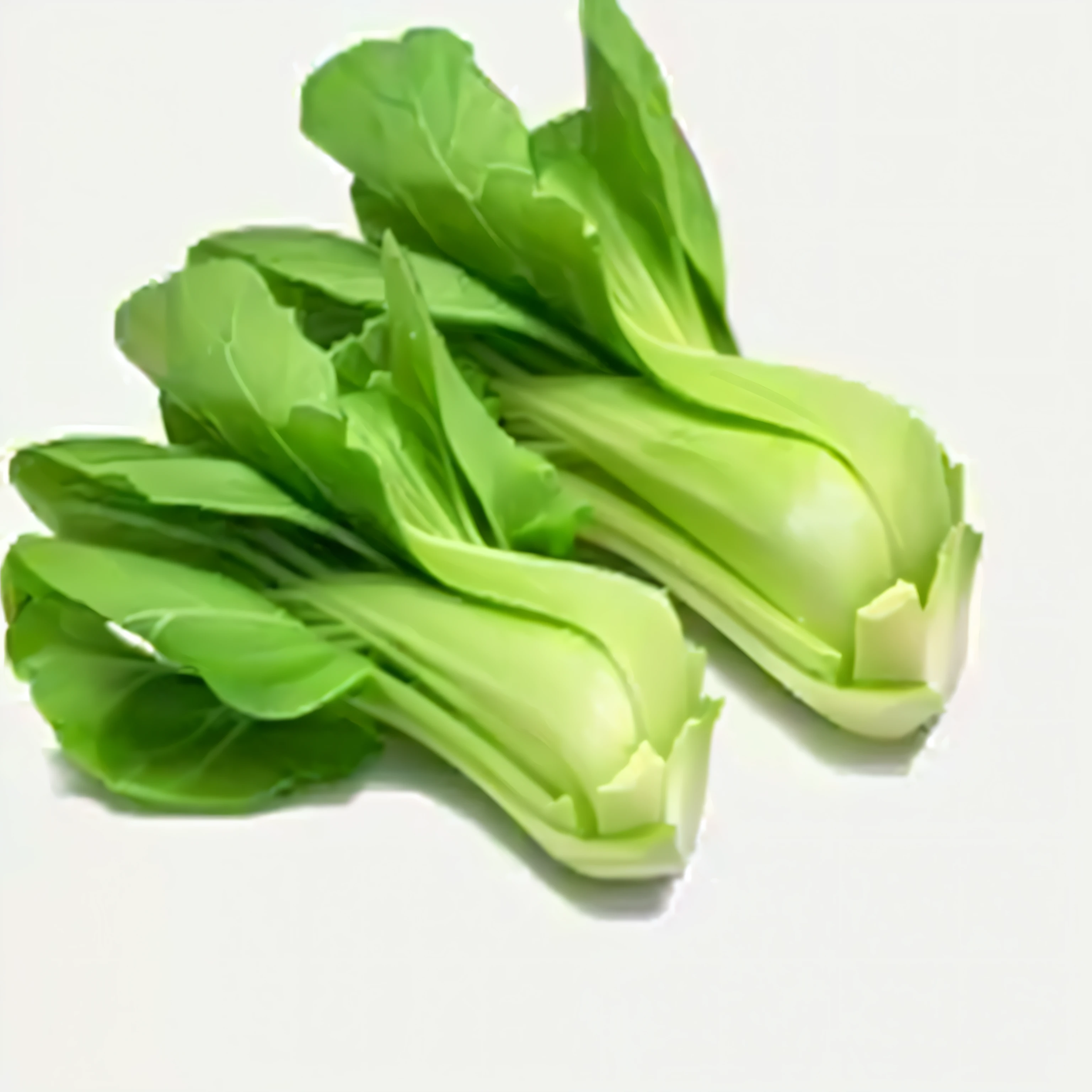 a close up of a bunch of green vegetables on a white surface, greens), vegetable, lettuce, Which, ramps, vegetable foliage, Fresh, vegetables, 灵感来自Which布, green, vegetable, nostalgia, longque chen, tilt, gongbi, loose, wet, Wang Chen, Inspired by Li Di, herb, bian lian