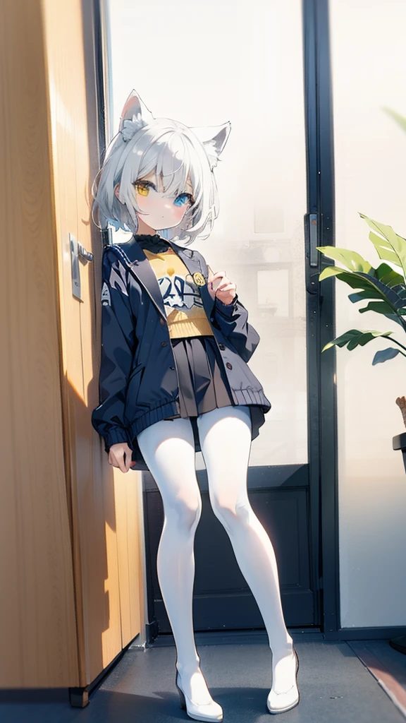 White hair，Cat ear，Heterochromia（Left blue right yellow），Small size，campus，White pantyhose