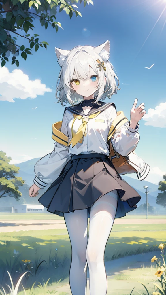 White hair，Cat ear，Heterochromia（Left blue right yellow），Small size，campus，White pantyhose，grassland，Smile